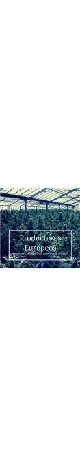 ¿Cuales son los beneficios del Cannabidiol?